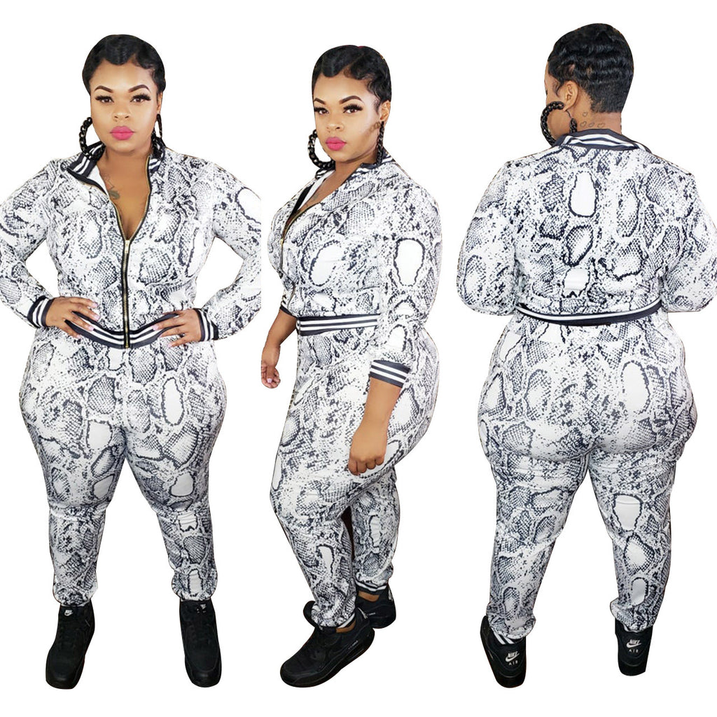 Plus Size Women's Printed Striped Zip Long Sleeve Set