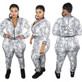 Plus Size Women's Printed Striped Zip Long Sleeve Set