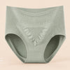 CurveComfort High-Waist Maternity Briefs for Women